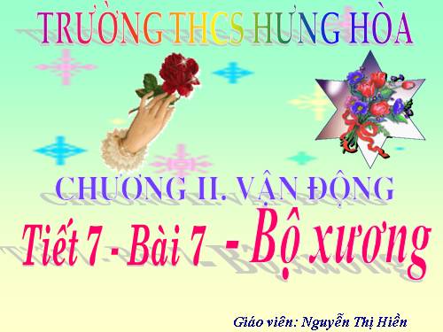 Bài 7. Bộ xương