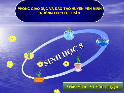 Bài 8. Cấu tạo và tính chất của xương