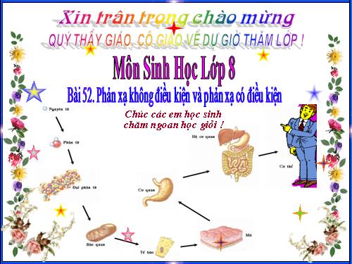 Bài 52. Phản xạ không điều kiện và phản xạ có điều kiện