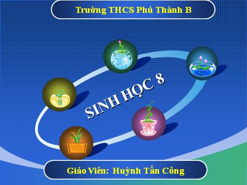 Bài 51. Cơ quan phân tích thính giác