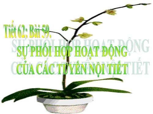 Bài 59. Sự điều hòa và phối hợp hoạt động của các tuyến nội tiết