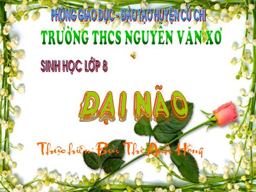 Bài 47. Đại não