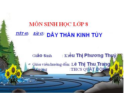 Bài 45. Dây thần kinh tủy