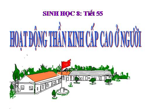 Bài 53. Hoạt động thần kinh cấp cao ở người