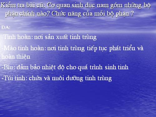 Bài 61. Cơ quan sinh dục nữ