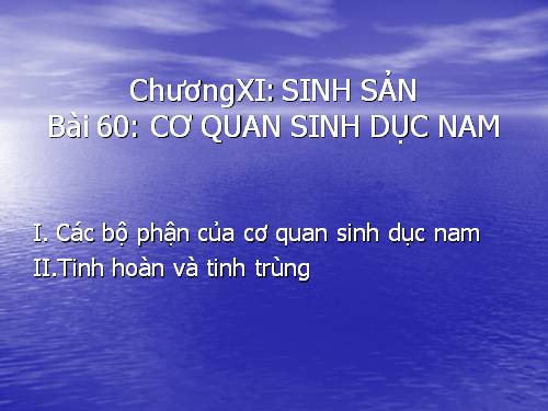 Bài 60. Cơ quan sinh dục nam