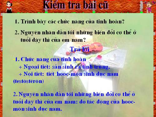 Bài 60. Cơ quan sinh dục nam