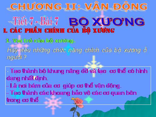 Bài 7. Bộ xương