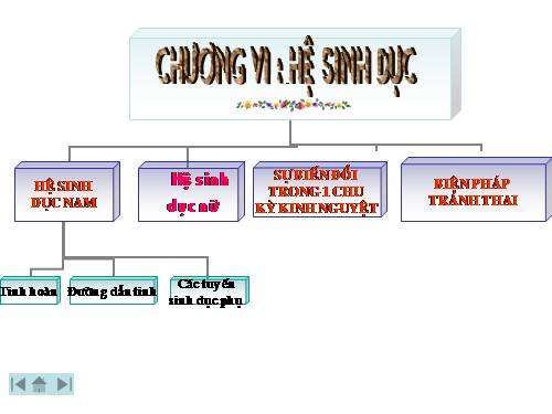 sinh sản và phát triển