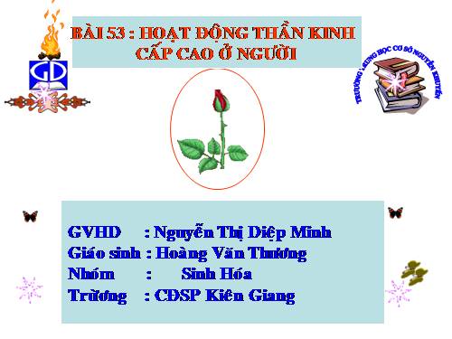 Bài 53. Hoạt động thần kinh cấp cao ở người