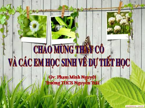 Bài 39. Bài tiết nước tiểu