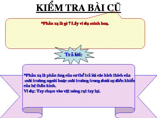 Bài 52. Phản xạ không điều kiện và phản xạ có điều kiện