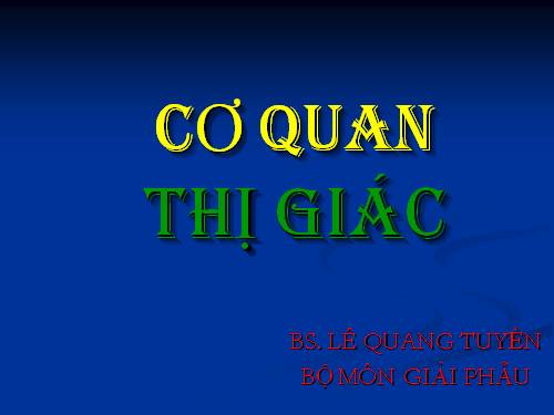 CƠ QUAN PHÂN TÍCH THI GIÁC