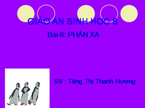 Bài 6. Phản xạ