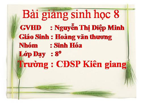 Bài 49. Cơ quan phân tích thị giác