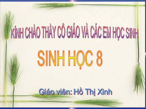 Bài 49. Cơ quan phân tích thị giác