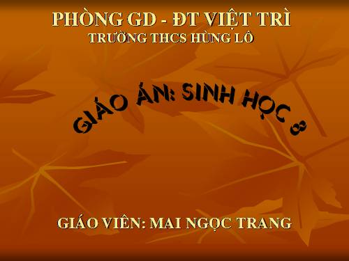 Bài 51. Cơ quan phân tích thính giác