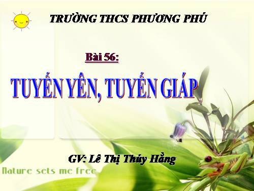 Bài 56. Tuyến yên, tuyến giáp