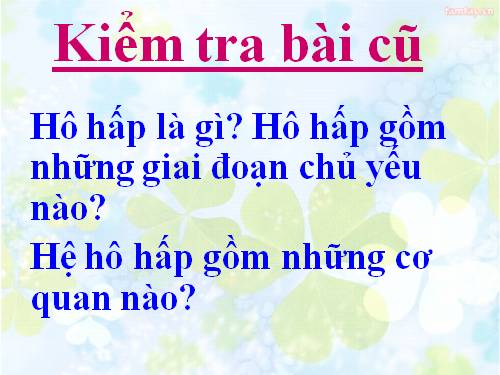 Bài 21. Hoạt động hô hấp