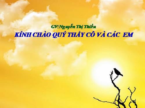Bài 49. Cơ quan phân tích thị giác