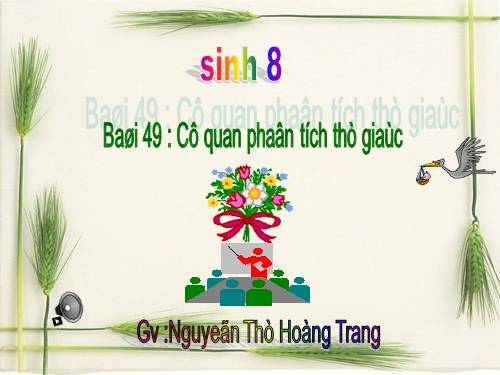 Bài 49. Cơ quan phân tích thị giác
