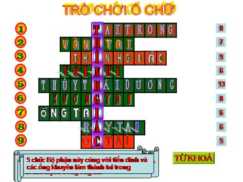 Trò chơi ô chữ
