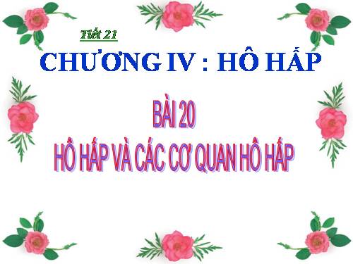 Bài 20. Hô hấp và các cơ quan hô hấp
