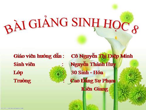 Bài 48. Hệ thần kinh sinh dưỡng