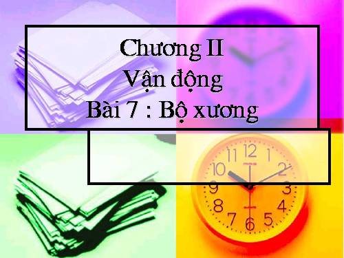 Bài 7. Bộ xương