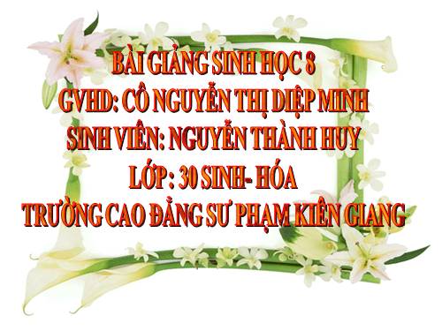 Bài 49. Cơ quan phân tích thị giác