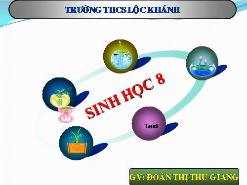 Bài 49. Cơ quan phân tích thị giác