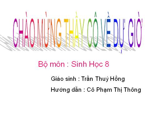 Bài 45. Dây thần kinh tủy