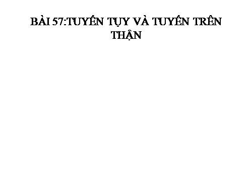 Bài 57. Tuyến tụy và tuyến trên thận