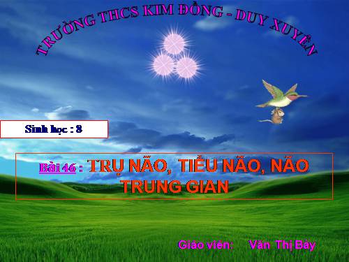 Bài 46. Trụ não. Tiểu não. Não trung gian