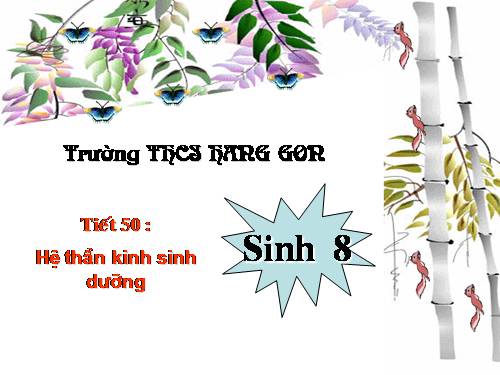 Bài 48. Hệ thần kinh sinh dưỡng