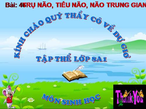 Bài 46. Trụ não. Tiểu não. Não trung gian