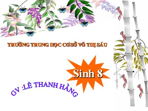 Bài 48. Hệ thần kinh sinh dưỡng