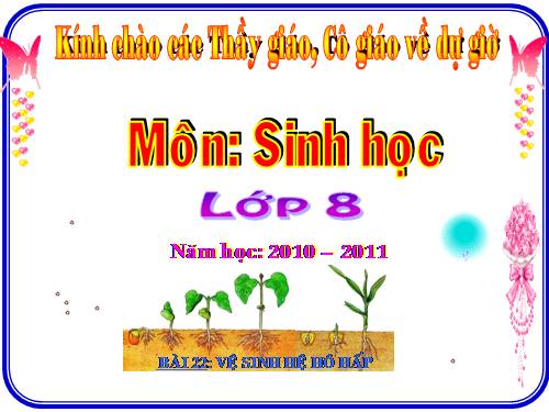 Bài 22. Vệ sinh hô hấp