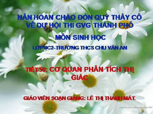 Bài 49. Cơ quan phân tích thị giác