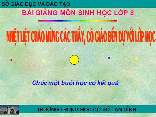 Bài 48. Hệ thần kinh sinh dưỡng