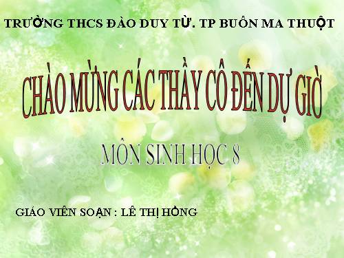 Bài 27. Tiêu hóa ở dạ dày