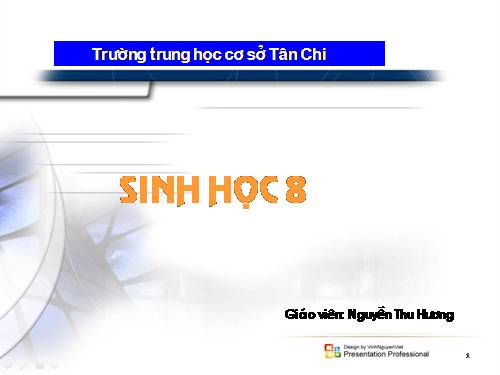 Bài 49. Cơ quan phân tích thị giác