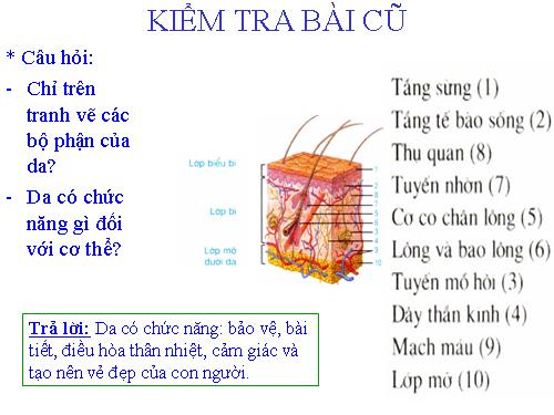 Bài 42. Vệ sinh da