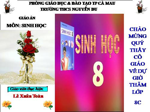 Bài 41. Cấu tạo và chức năng của da