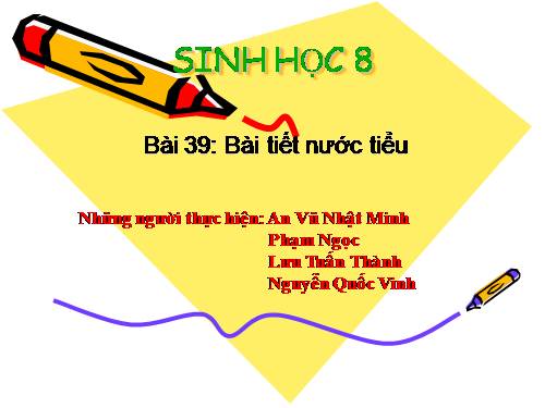 Bài 39. Bài tiết nước tiểu