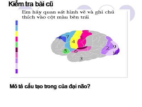 Bài 48. Hệ thần kinh sinh dưỡng