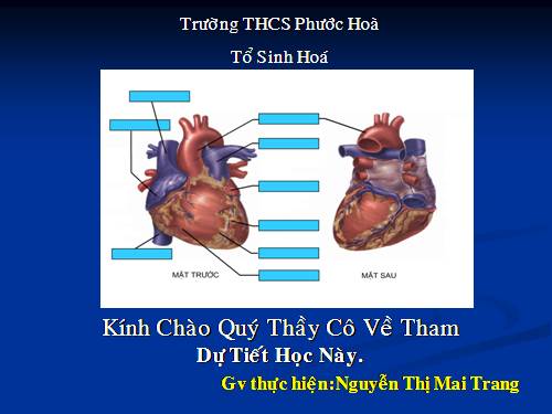 Bài 17. Tim và mạch máu