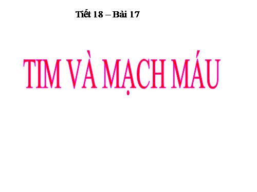 Bài 17. Tim và mạch máu