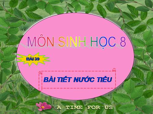 Bài 39. Bài tiết nước tiểu