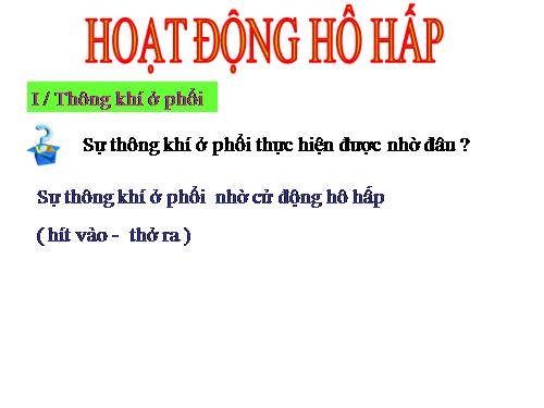 Bài 21. Hoạt động hô hấp